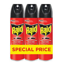 #RAID S/FAST CRAWLING REG 300ML 1X6